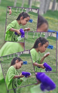 Four photographs of a child in a green t-shirt kneeling on the grass, holding a purple ball and looking at it closely.