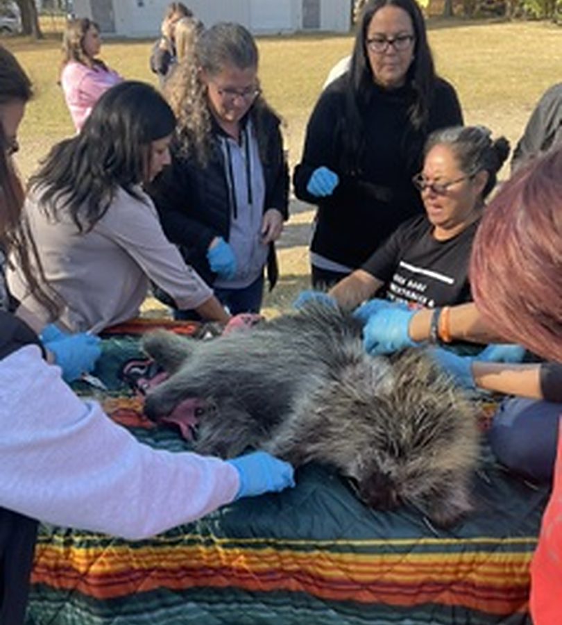 A group gathered around a table outdoors, gloved, working through a land-based teaching.