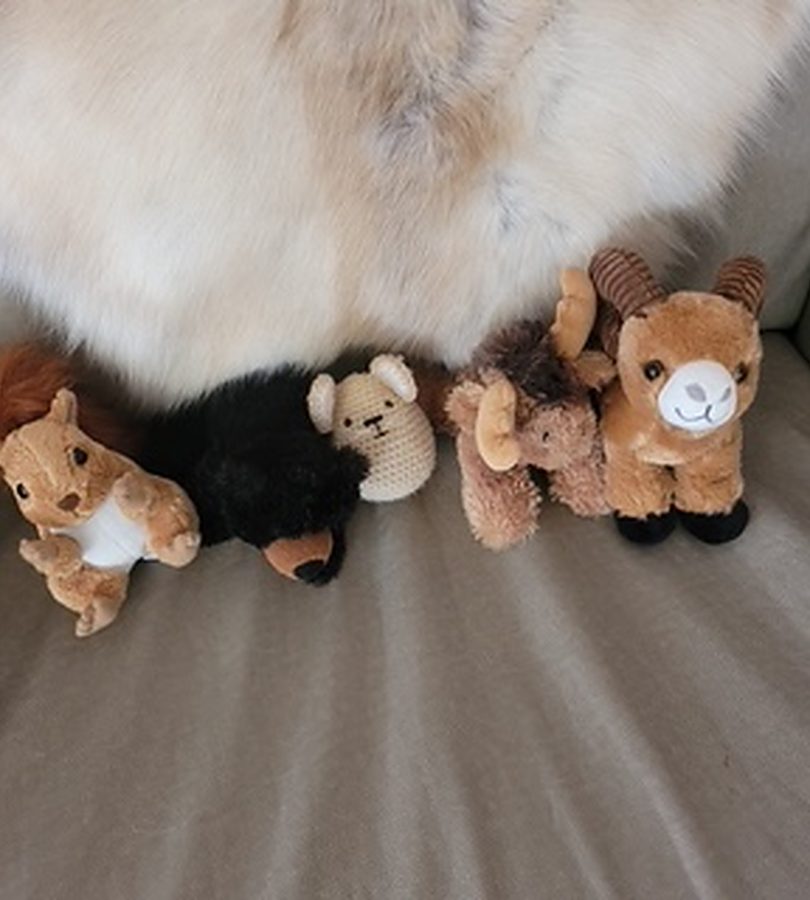 Small stuffed animals — squirrel, bear, ram and a crocheted bear — laid out on a fur.